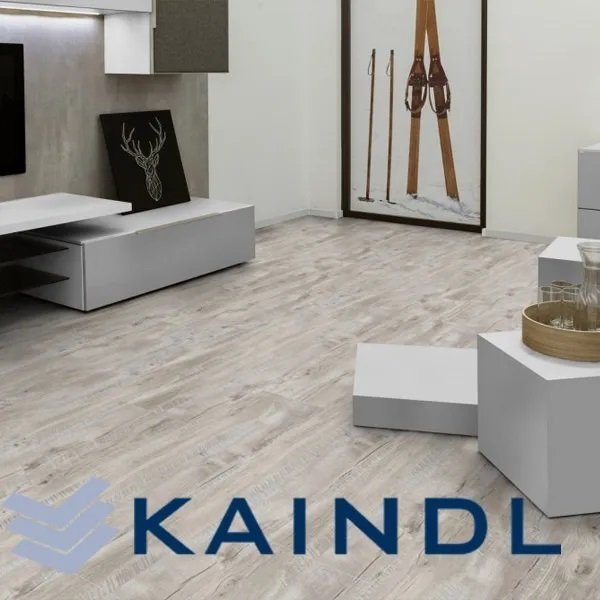 Vision Kaindl