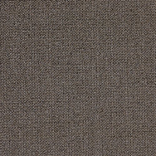 Cocoa