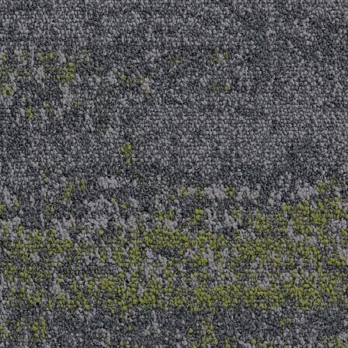 Field