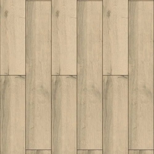 Gulf Oak