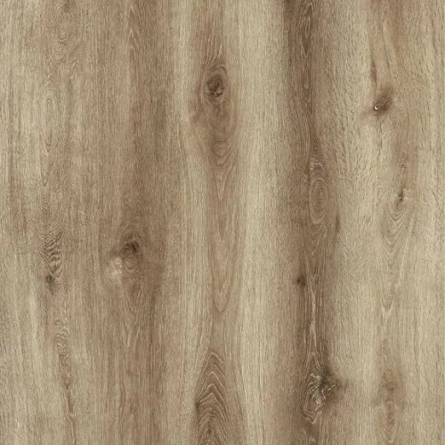 Hazel Oak