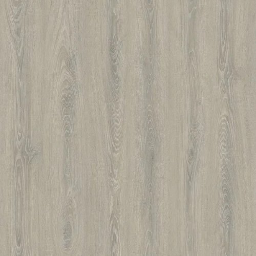 Insipid Grey