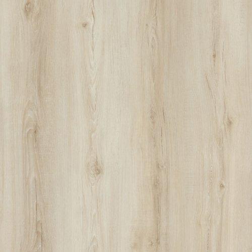 Maple