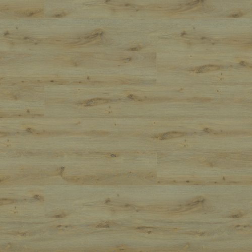 Maple Mist