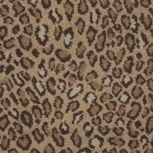 Panthera