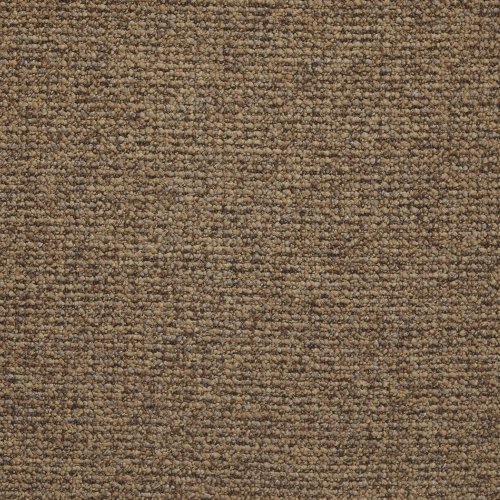 Raw Umber