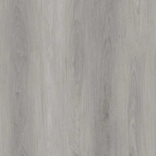Shadow Oak