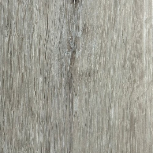 Caspian Oak
