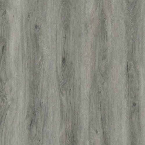 Harbour oak